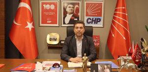 sarı