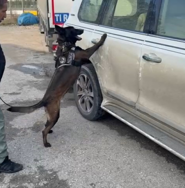 vida eksik olunca seytanin aklina gelmeyecek zulayi narkotik cozdu RcsMXXml.jpg