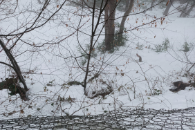 KAYAK MERKEZİNDE ACI SON