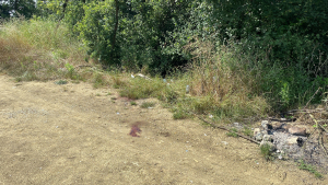 KOMŞU CİNAYETİNDE "KÜFÜR" İDDİASI KOMŞUSUNU ÖLDÜREN SANIK: "ALKOL OLMASAYDI BU OLAY GERÇEKLEŞMEZDİ"