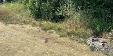 KOMŞU CİNAYETİNDE "KÜFÜR" İDDİASI KOMŞUSUNU ÖLDÜREN SANIK: "ALKOL OLMASAYDI BU OLAY GERÇEKLEŞMEZDİ"