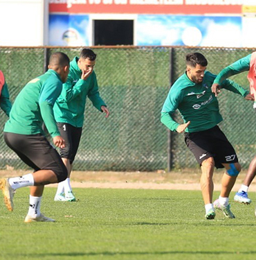 spor