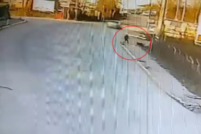 KANDIRA'DA OKULA GİDEN ÇOCUĞA 2 KÖPEK SALDIRDI