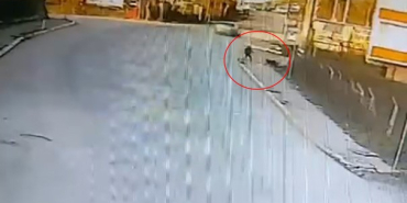 KANDIRA'DA OKULA GİDEN ÇOCUĞA 2 KÖPEK SALDIRDI