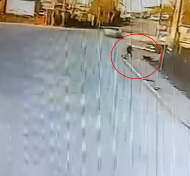 KANDIRA'DA OKULA GİDEN ÇOCUĞA 2 KÖPEK SALDIRDI