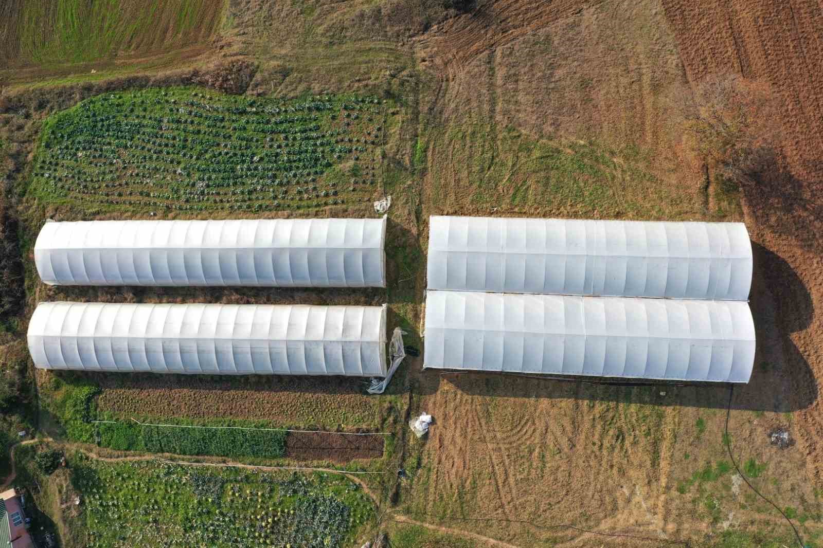 20240326aw170464 0.jpg