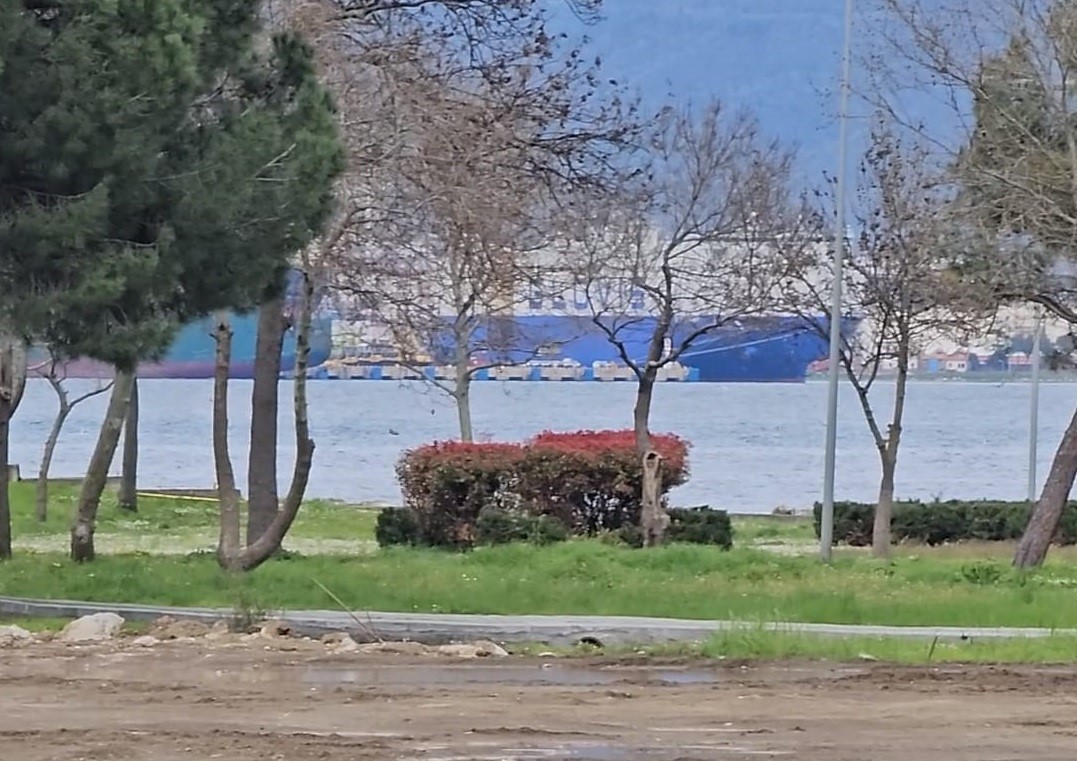 20240328aw171980 0.jpg