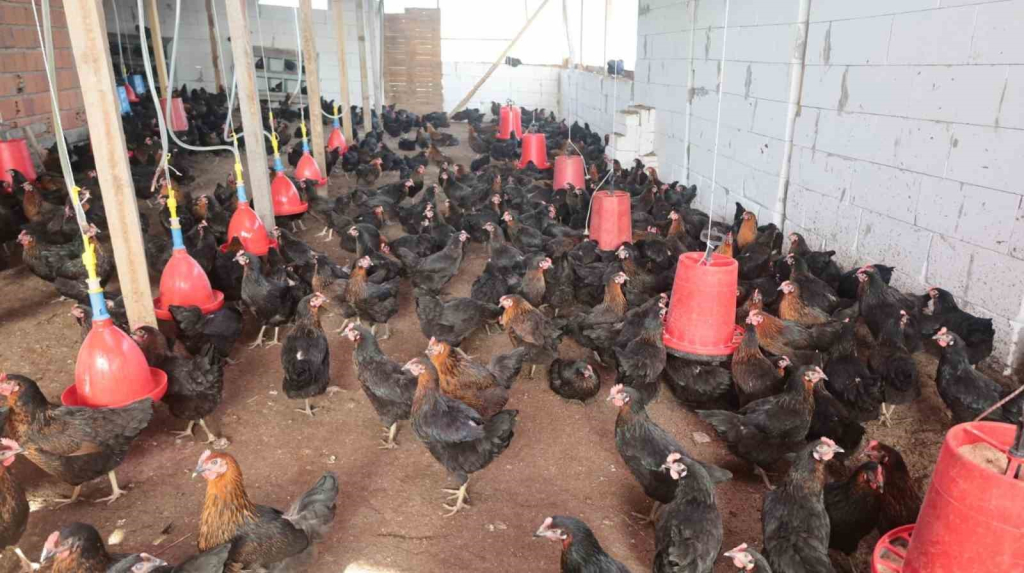 20240329aw172810 0.jpg