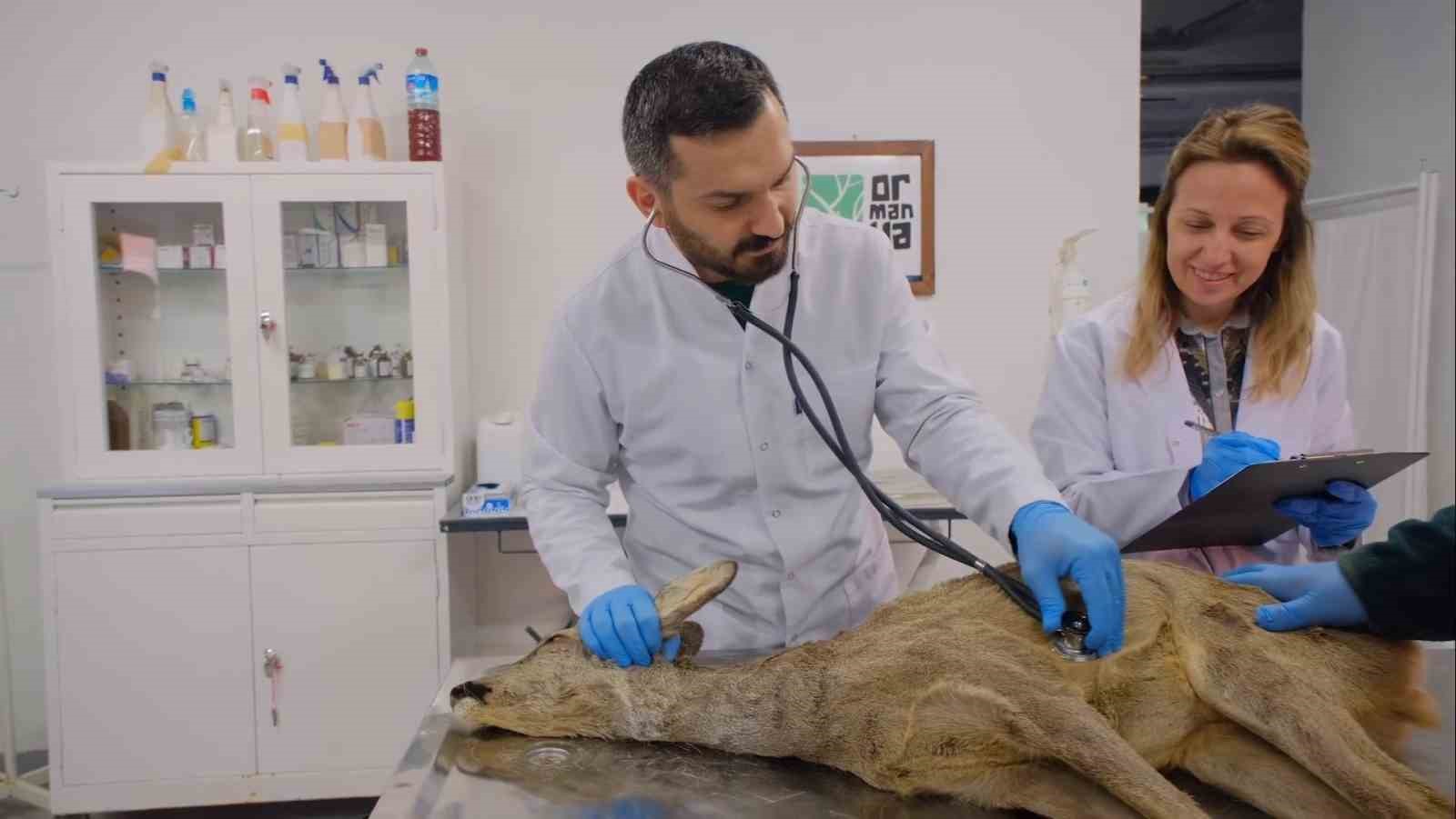 20240406aw178307 0.jpg