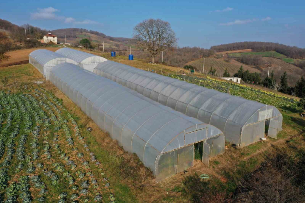 20240411aw180908 0.jpg