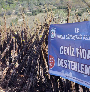 20240415aw182883 0.jpg