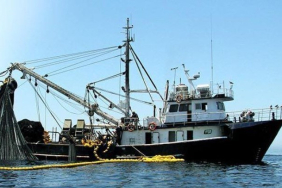 20240415aw182919 0.jpg