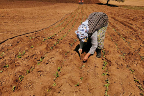 20240415aw182955 0.jpg