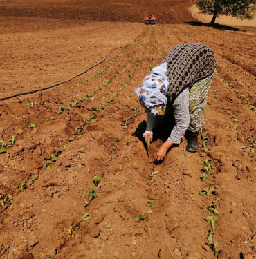 20240415aw182955 0.jpg