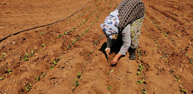 20240415aw182955 0.jpg