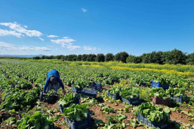 20240416aw183249 0.jpg