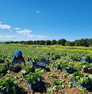 20240416aw183249 0.jpg