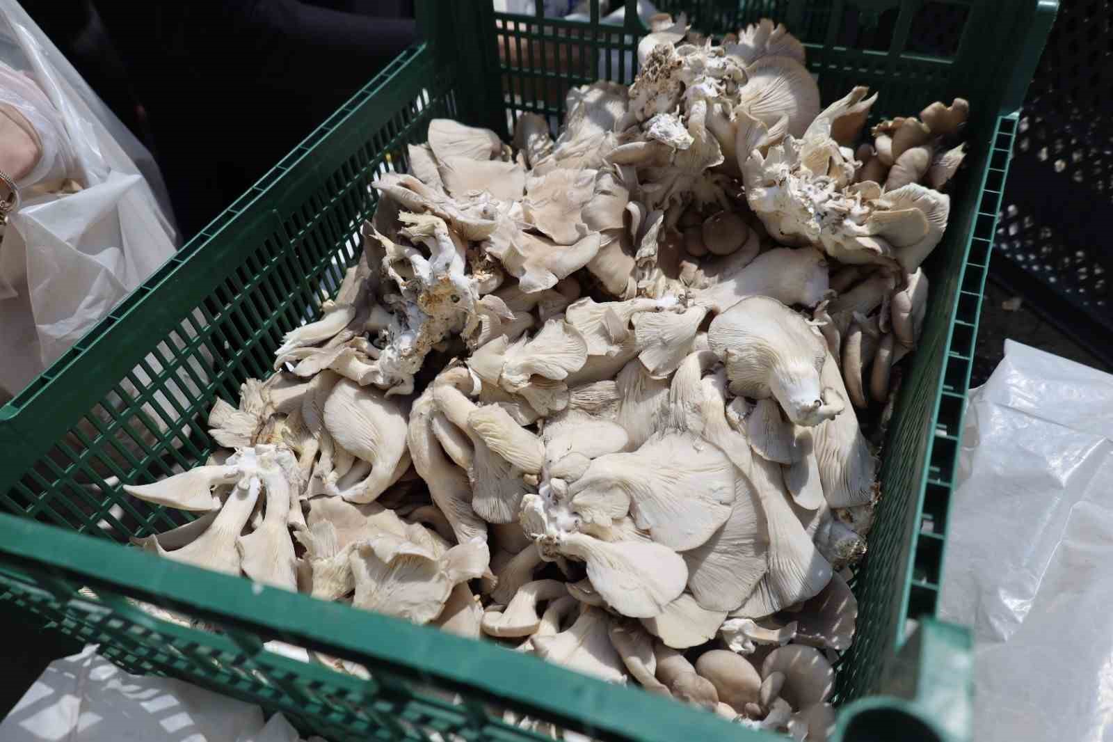 20240420aw186410 0.jpg