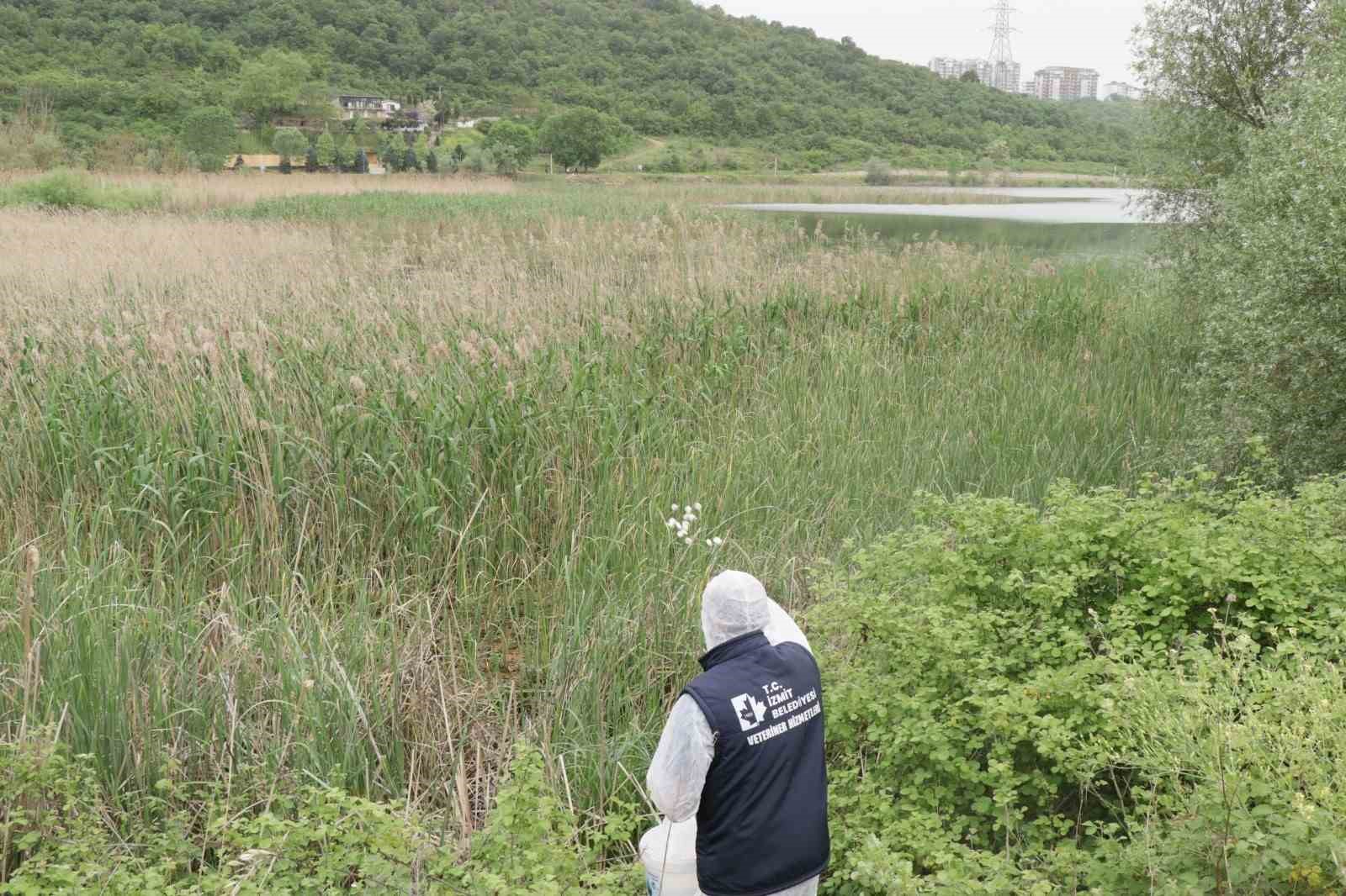 20240425aw190130 0.jpg