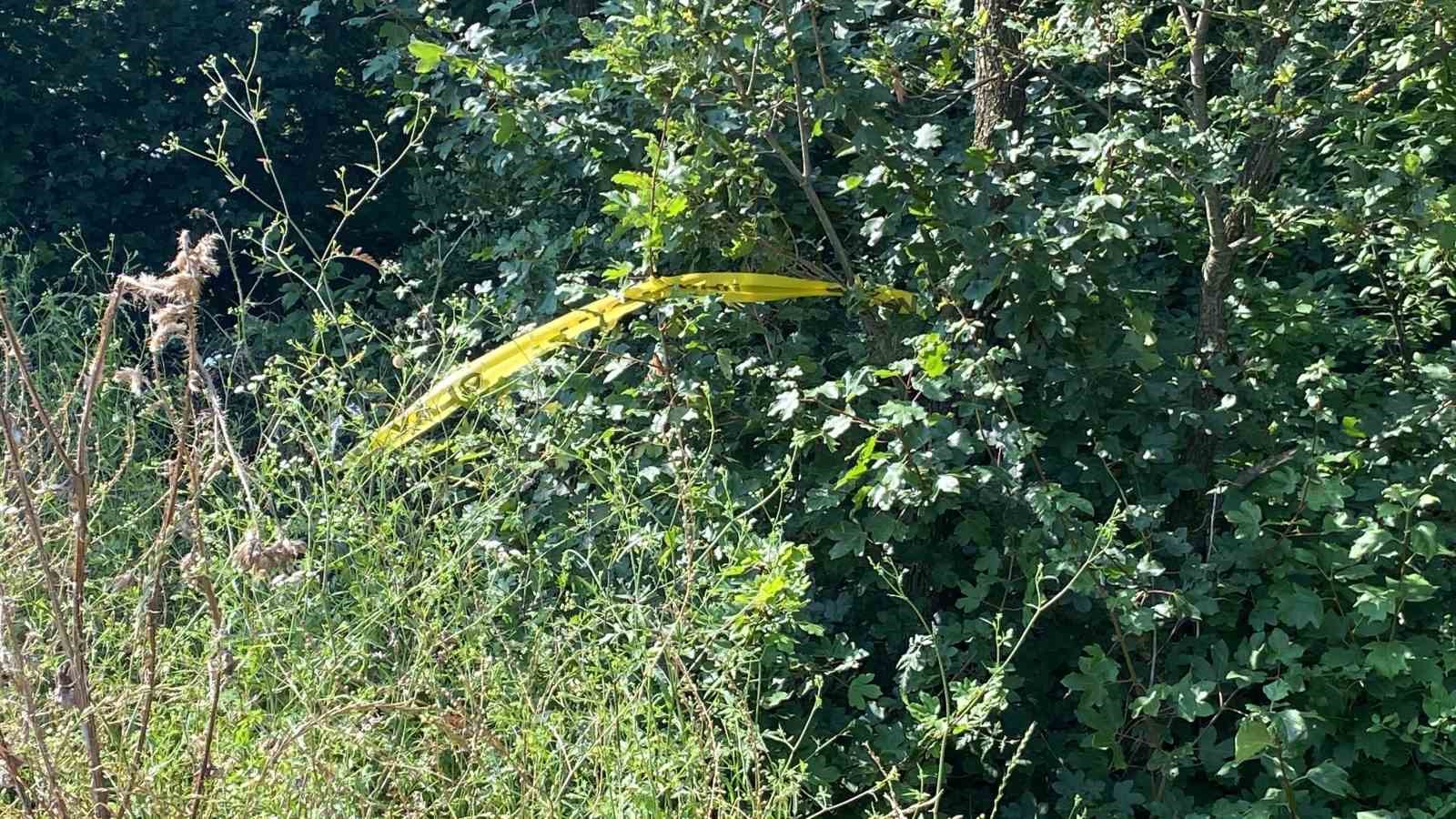 20240425aw190559 0.jpg