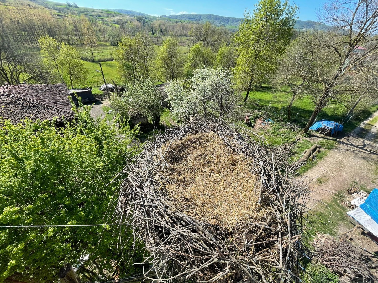 20240427aw191746 0.jpg