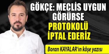 boran kayalar köşe yazısı