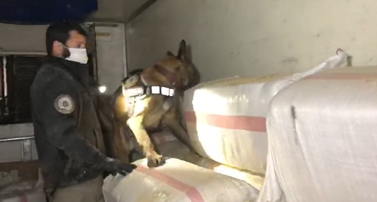 20240502aw194862 0.jpg