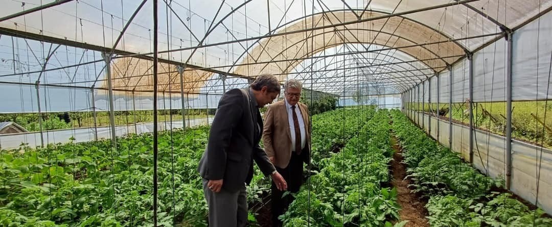 20240516aw205878 0.jpg