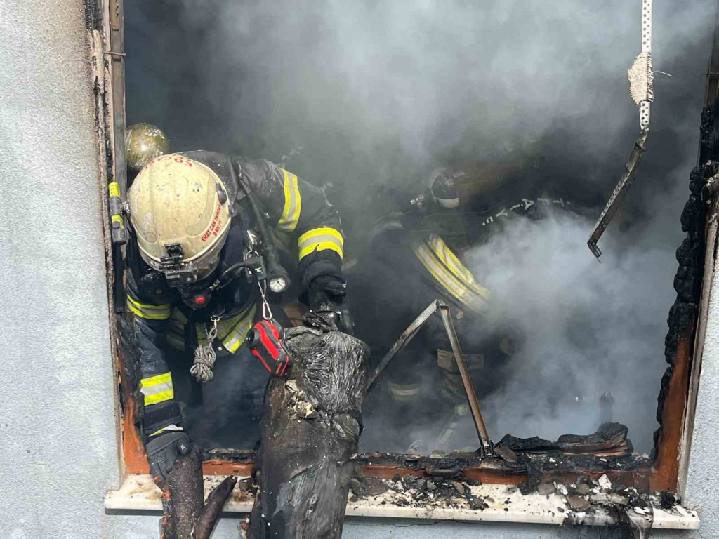 20240517aw206243 0.jpg