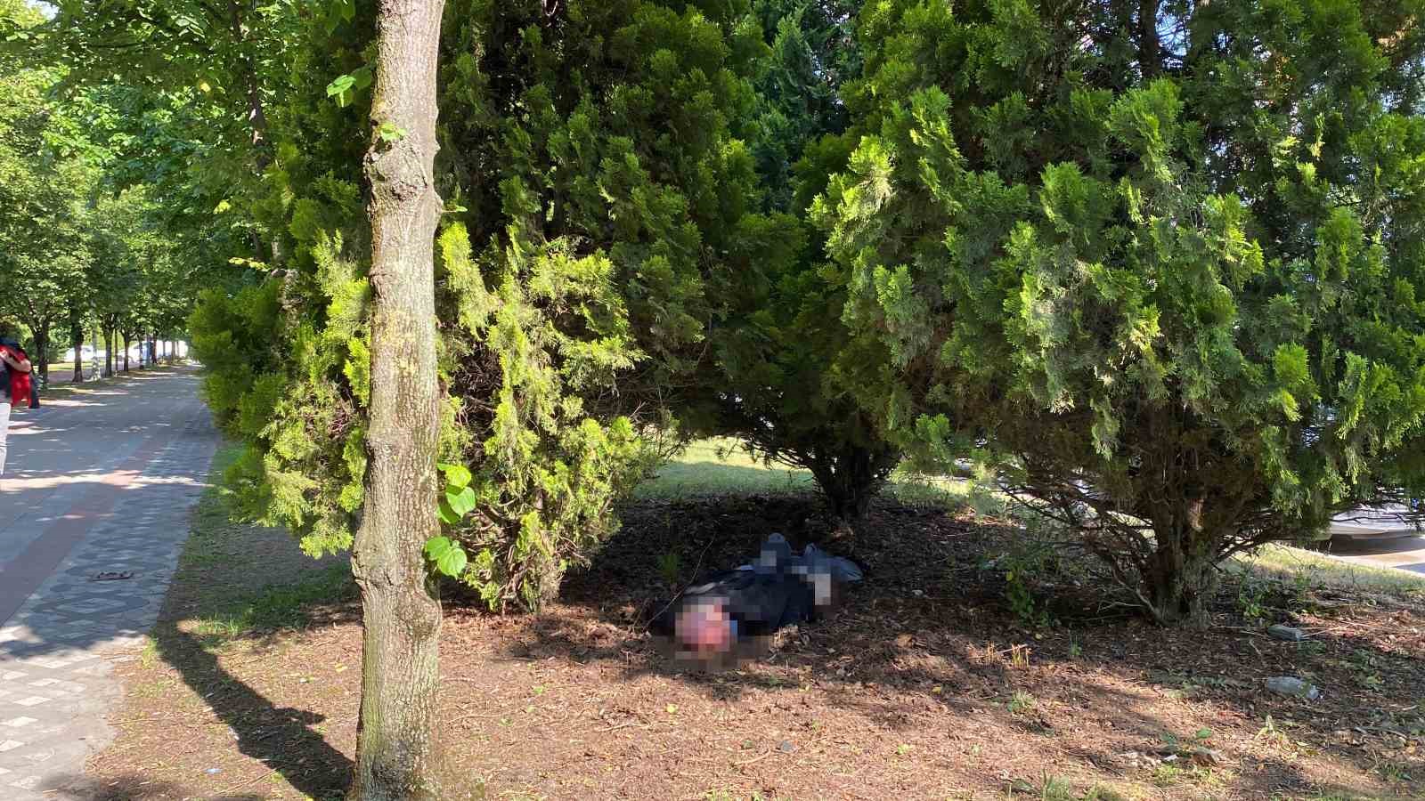 20240519aw207677 0.jpg