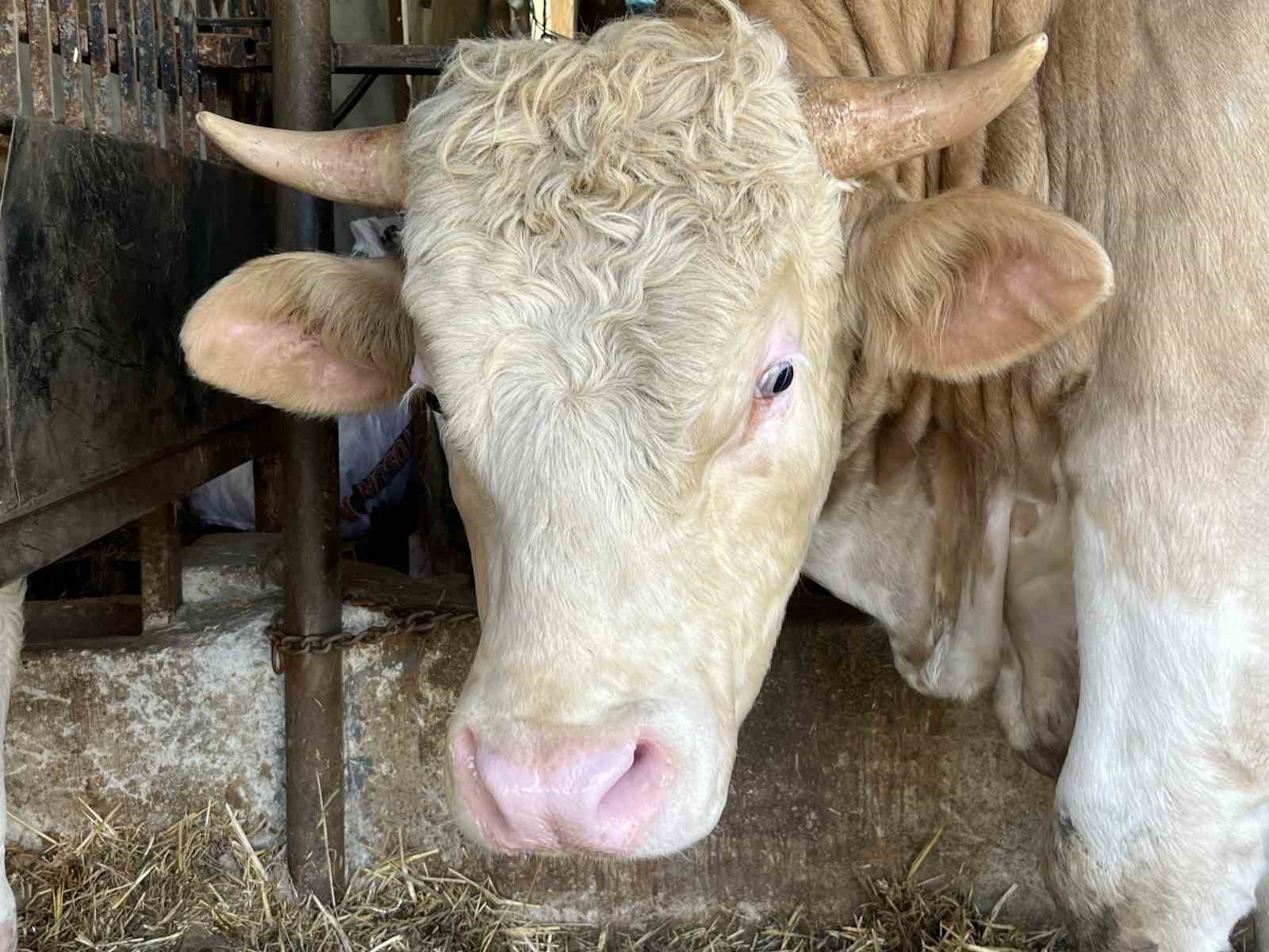 20240520aw208376 0.jpg