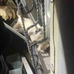 20240521aw208909 0.jpg