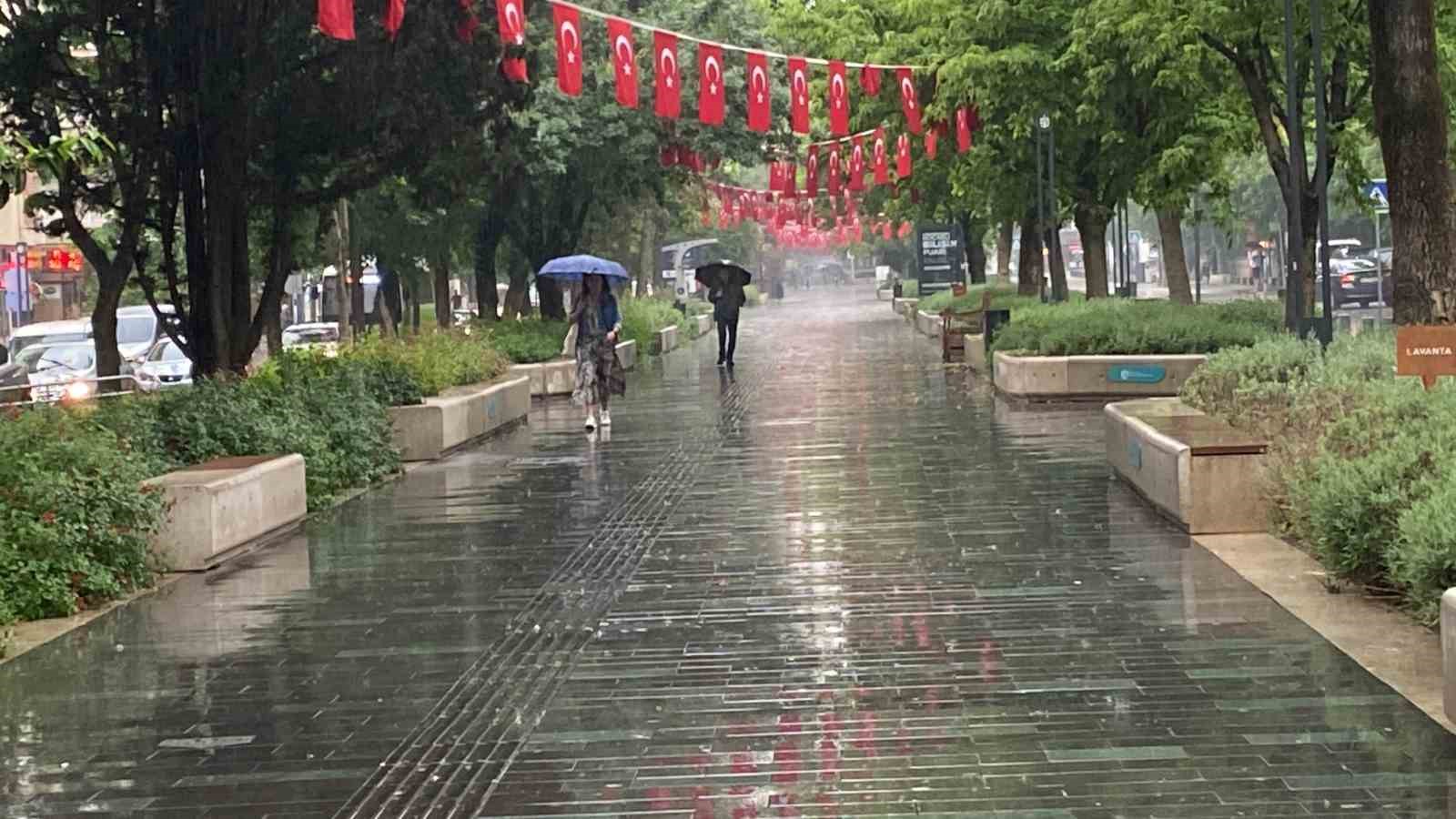 20240523aw210981 0.jpg