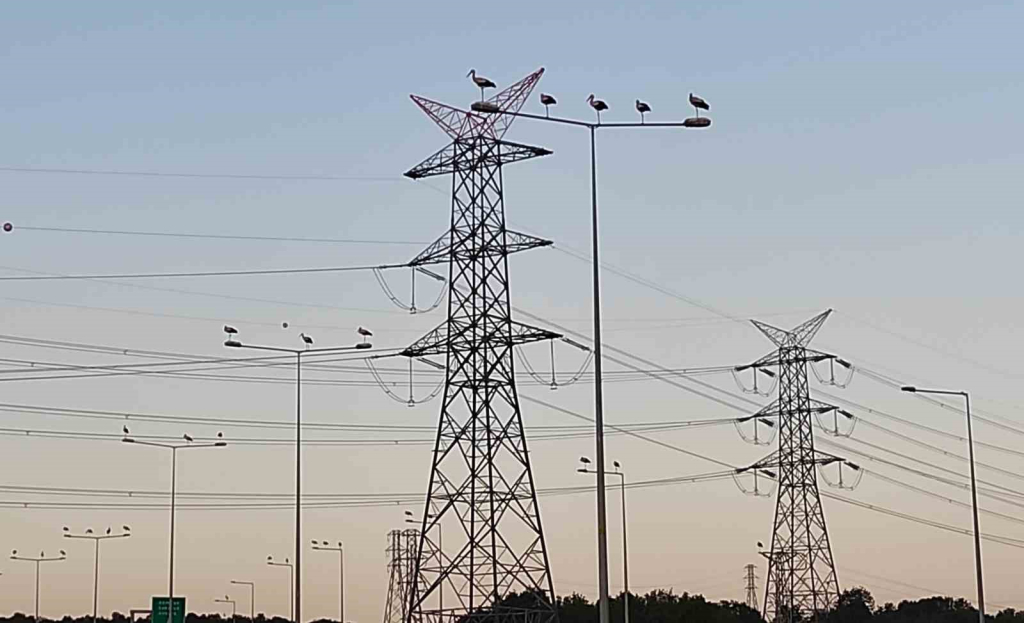 20240527aw213749 0.jpg