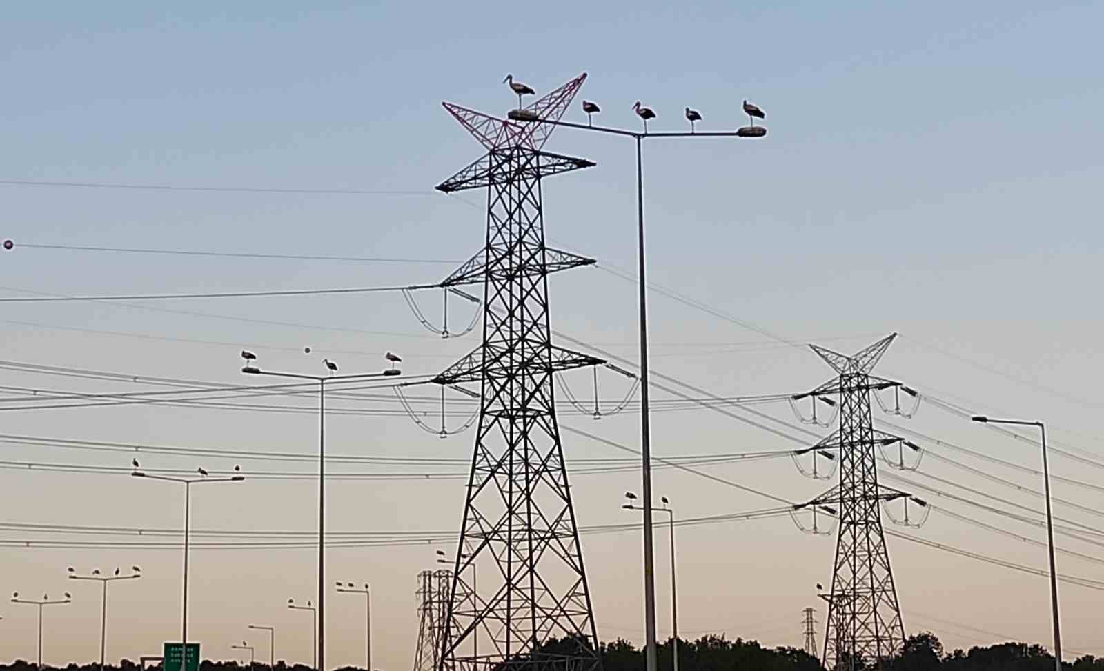 20240527aw213749 0.jpg