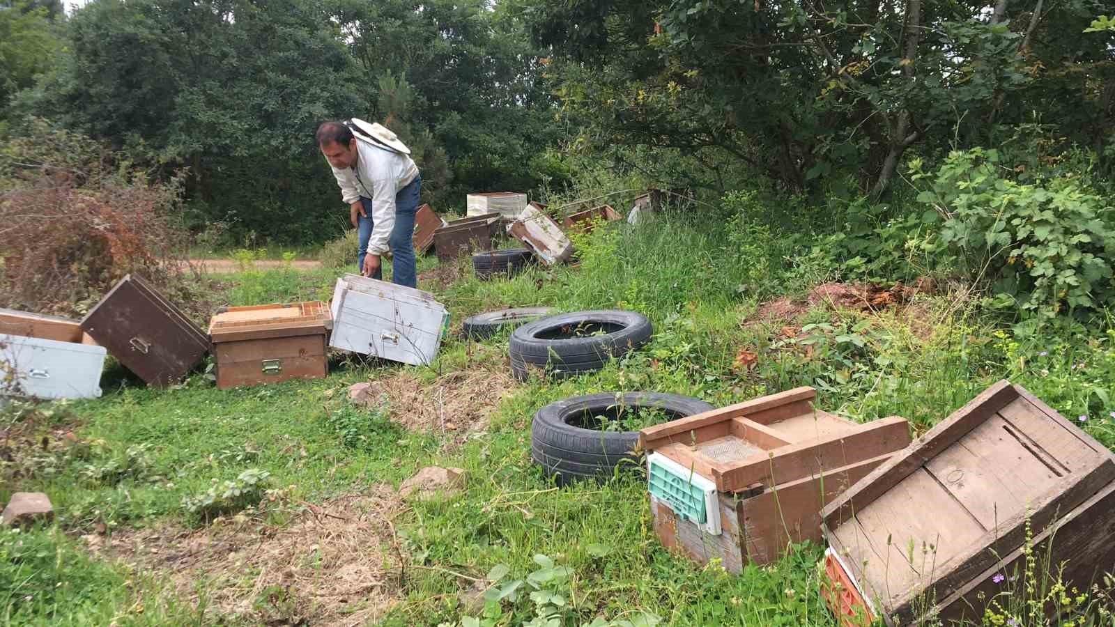 20240528aw214361 0.jpg