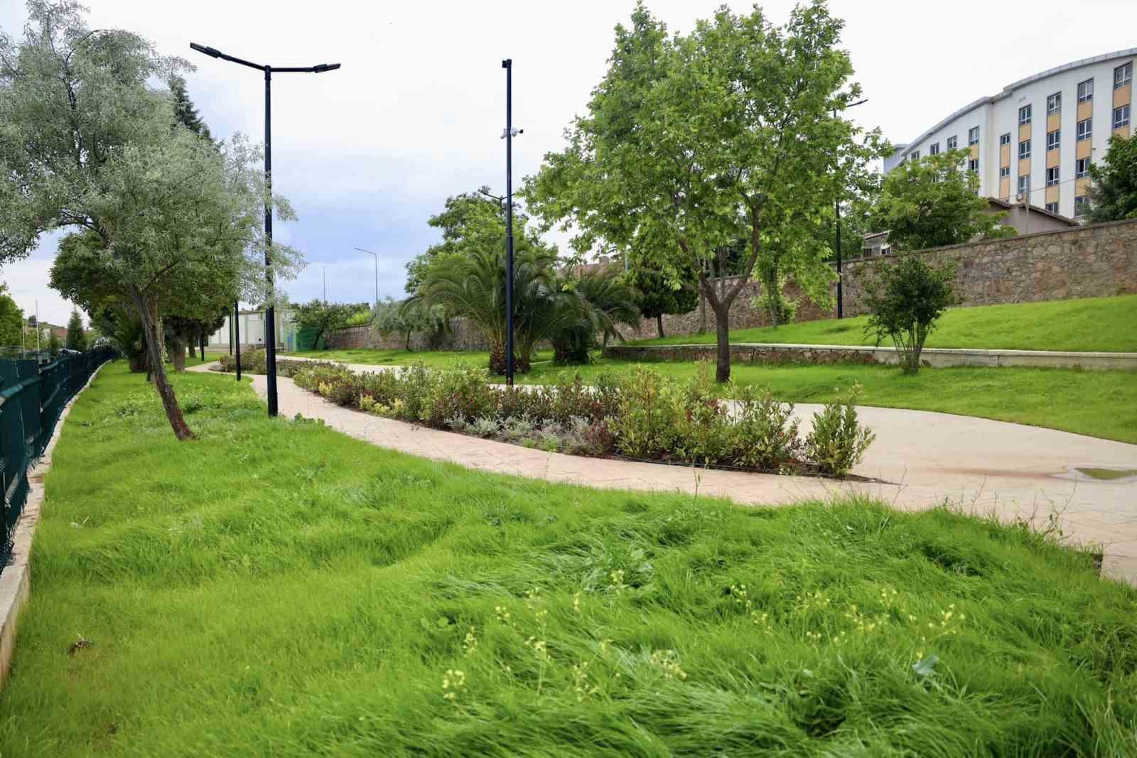 20240528aw214422 0.jpg