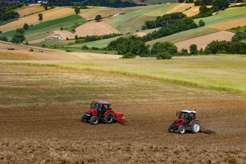 20240529aw215112 0.jpg