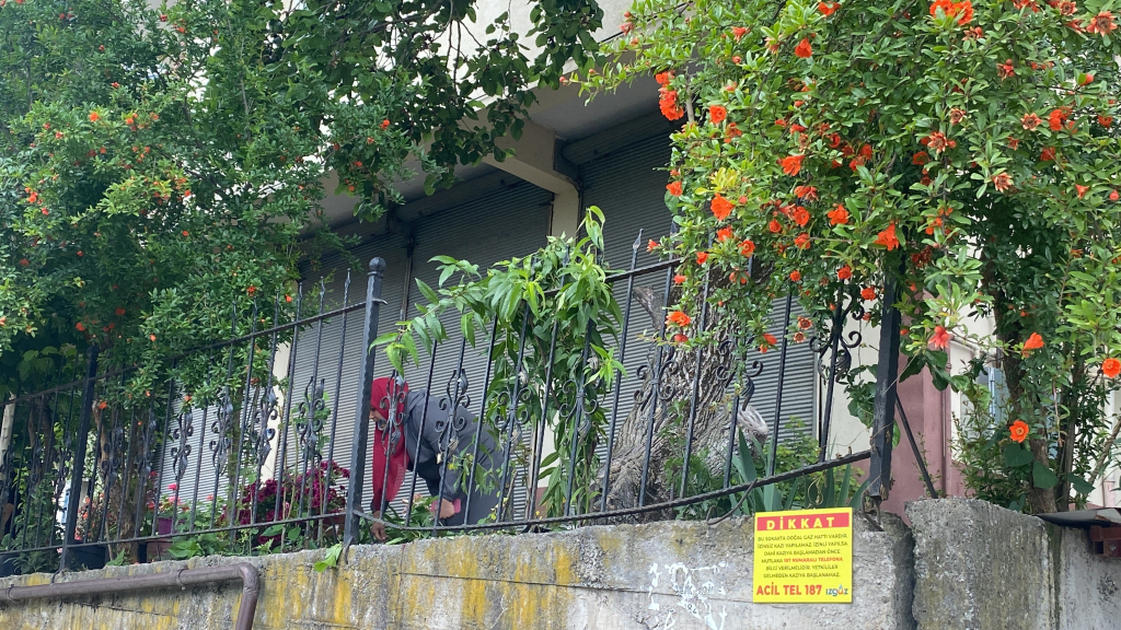 DUT TOPLAMAK İÇİN ÇIKTIĞI AĞAÇTAN DÜŞEREK DEMİR KORKULUKLARA SAPLANDI