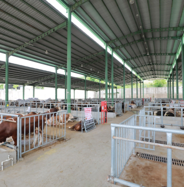 Kurban satışı için Modern Hayvan Pazarına ön kayıtlar başladı