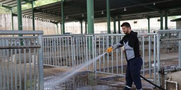 Modern Hayvan Pazarı, Kurban Bayramı’na hazırlanıyor