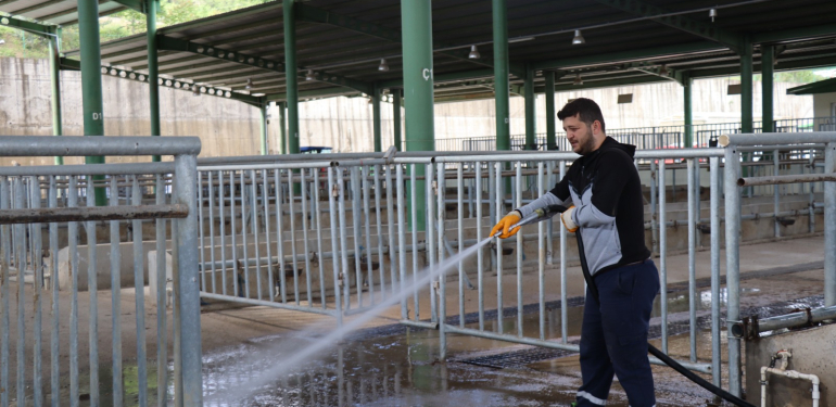 Modern Hayvan Pazarı, Kurban Bayramı’na hazırlanıyor