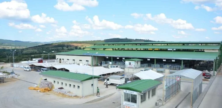 Modern Hayvan Pazarı’na ücretsiz ring servisi 3 Haziran’da başlıyor