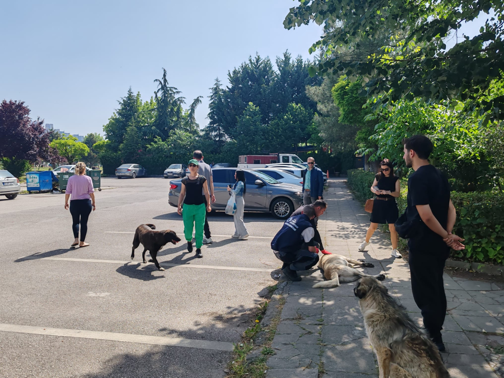 Yahya Kaptan’daki saldırgan köpeklere İzmit Belediyesi ve hayvanseverlerden ortak müdahale
