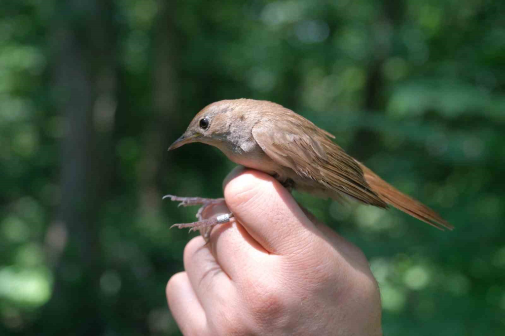 20240604aw219290 0.jpg