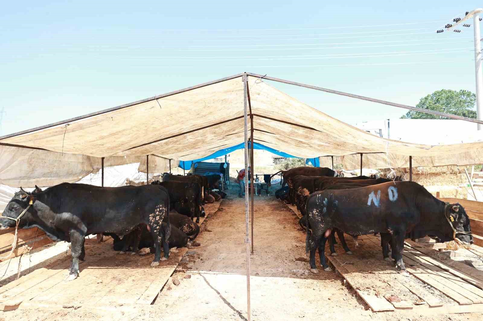 20240605aw220154 0.jpg