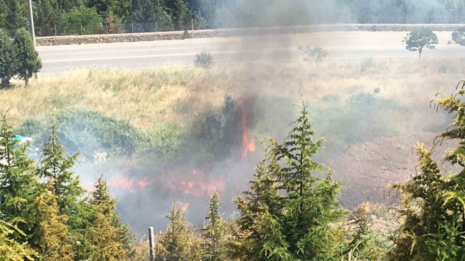 20240607aw222434 0.jpg