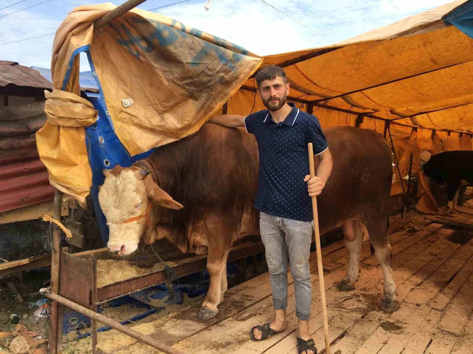 20240608aw223126 0.jpg