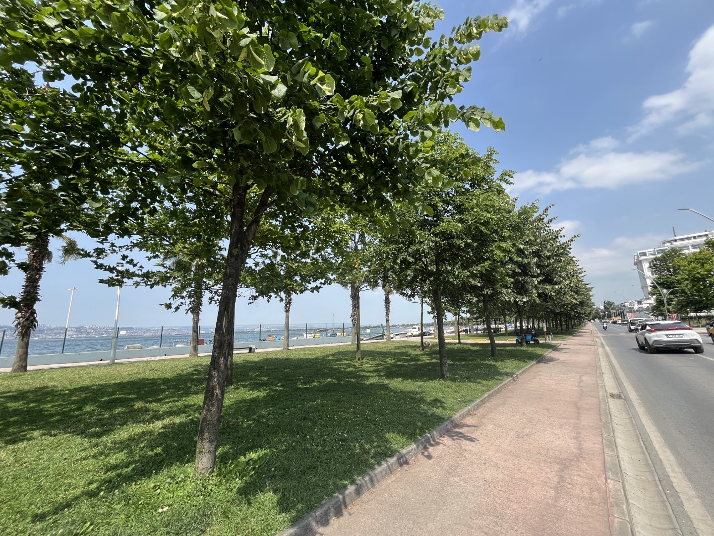 20240610aw224181 0.jpg