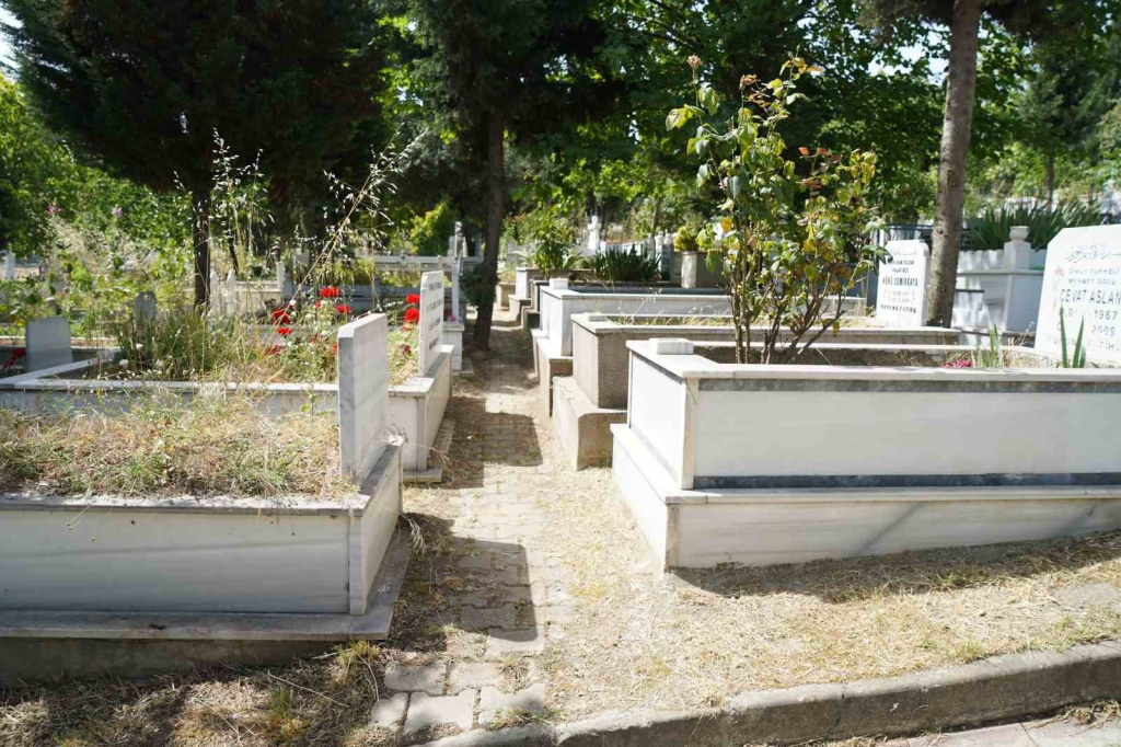 20240614aw227662 0.jpg